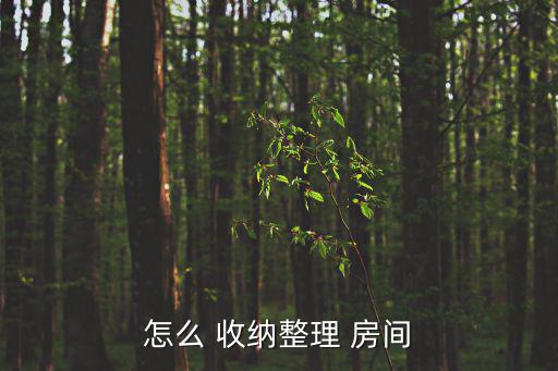 怎么 收納整理 房間