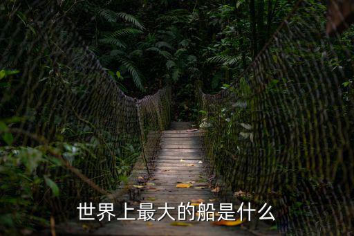 最大的船，世界上最大的船