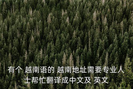 有個(gè) 越南語的 越南地址需要專業(yè)人士幫忙翻譯成中文及 英文