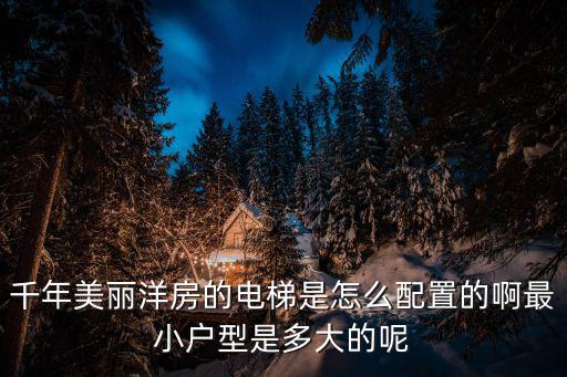 千年美麗洋房的電梯是怎么配置的啊最小戶型是多大的呢