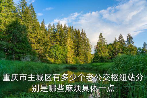 重慶市有哪些綜合交通樞紐，長江上游最大的綜合性工業(yè)基地和水陸交通樞紐是
