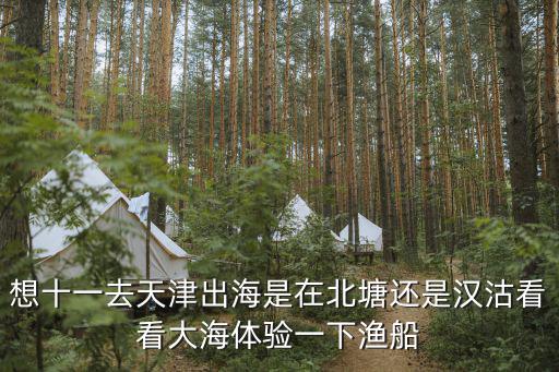 想十一去天津出海是在北塘還是漢沽看看大海體驗一下漁船