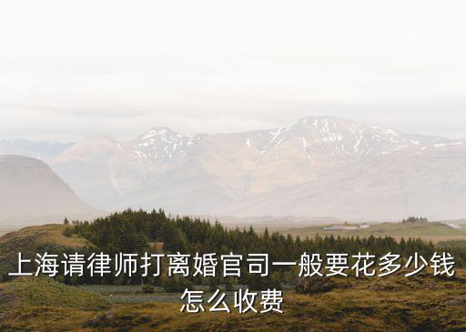 上海請律師打離婚官司一般要花多少錢怎么收費
