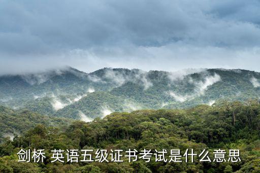 劍橋大學英語,劍橋大學英語5級證書考試由考試委員會召集
