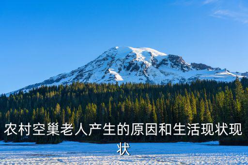 農(nóng)村空巢老人產(chǎn)生的原因和生活現(xiàn)狀現(xiàn)狀