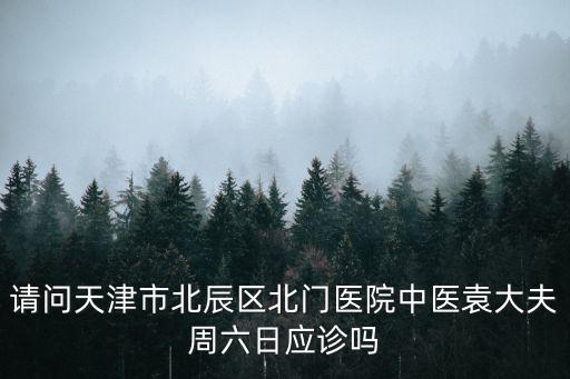 請問天津市北辰區北門醫院中醫袁大夫周六日應診嗎