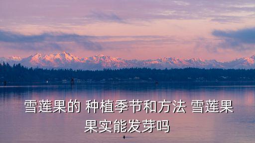  雪蓮果的 種植季節(jié)和方法 雪蓮果果實(shí)能發(fā)芽嗎