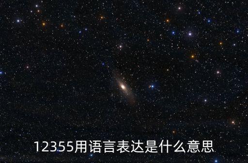 12355用語言表達是什么意思