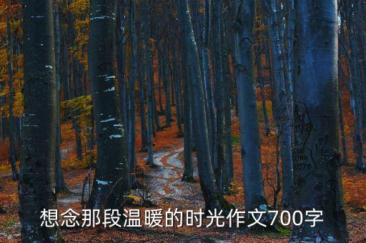 想念那段溫暖的時(shí)光作文700字