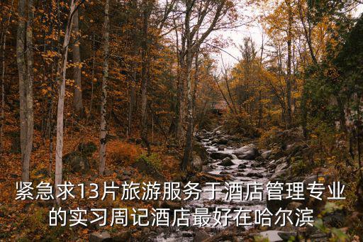 緊急求13片旅游服務于酒店管理專業的實習周記酒店最好在哈爾濱