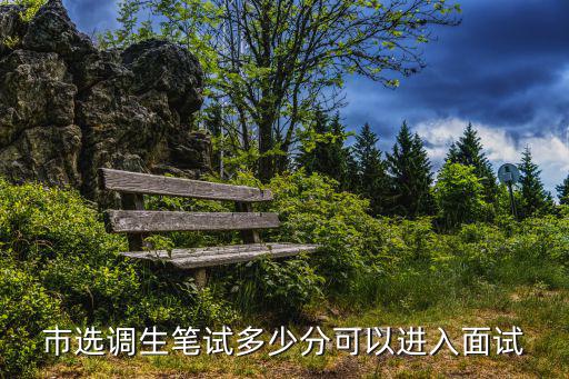 市選調生筆試多少分可以進入面試