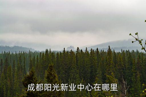 成都陽光新業中心在哪里