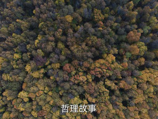 有哲理的故事，哲理故事