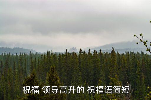 領導升職祝福語,祝福你升職順利
