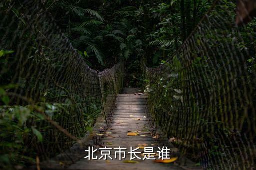 北京市長是誰