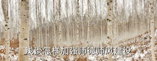 師德師風建設，淺談怎樣加強師德師風建設