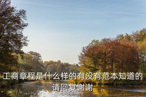 工商章程是什么樣的有沒有范本知道的請回復(fù)謝謝