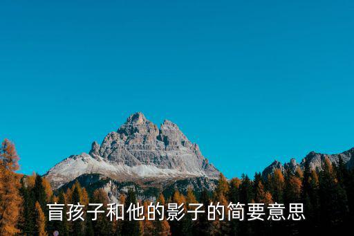 盲孩子和他的影子，盲孩子和他的影子影子指的是什么