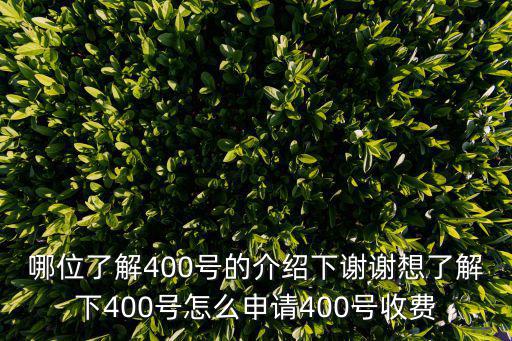 哪位了解400號的介紹下謝謝想了解下400號怎么申請400號收費
