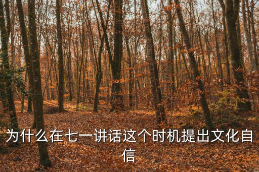為什么在七一講話這個(gè)時(shí)機(jī)提出文化自信