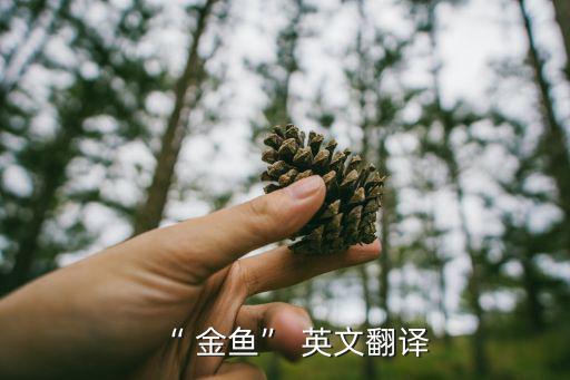 “ 金魚” 英文翻譯
