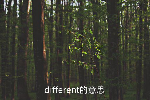 different的意思
