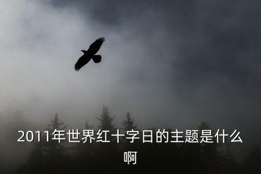 2011年世界紅十字日的主題是什么啊