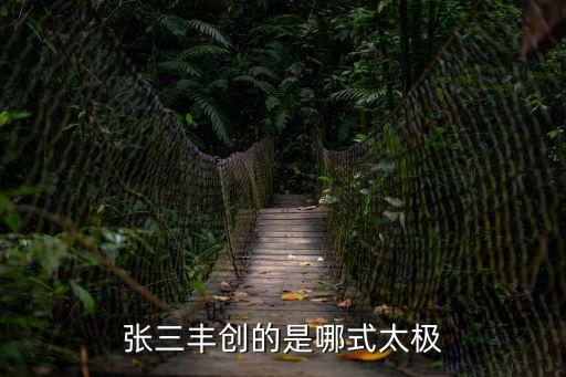 張三豐創的是哪式太極