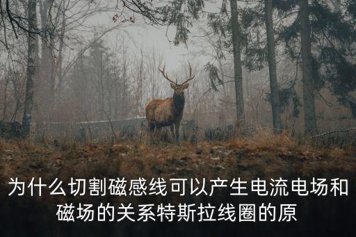 為什么切割磁感線可以產生電流電場和磁場的關系特斯拉線圈的原