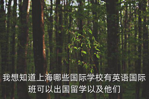 上海國際學(xué)校名單 百度網(wǎng)盤，我想知道上海哪些國際學(xué)校有英語國際班可以出國留學(xué)以及他們