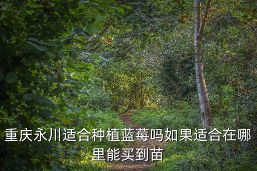 重慶永川適合種植藍莓嗎如果適合在哪里能買到苗