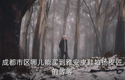 成都市區哪兒能買到雅安皮鞋如揚皮匠的等等