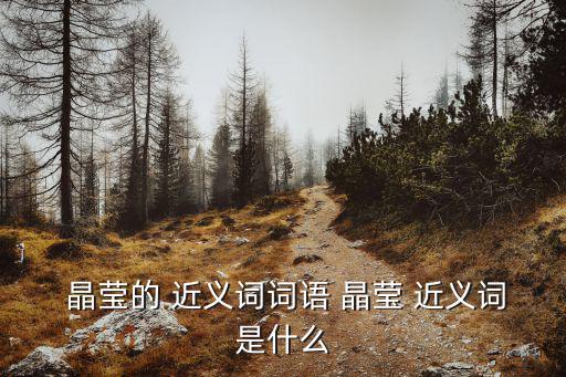 晶瑩的近義詞,武漢博物館澄清事件真相