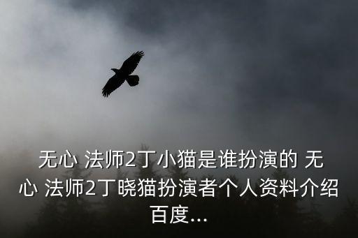 無心法師2演員表,無心法師2扮演者丁小貓是誰?