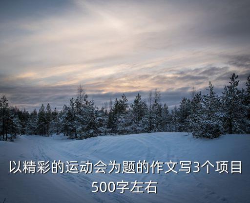 以精彩的運動會為題的作文寫3個項目500字左右