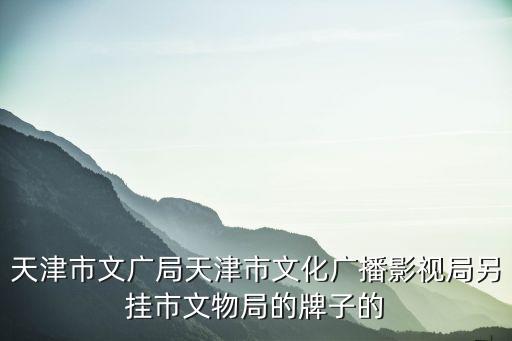 天津市文廣局天津市文化廣播影視局另掛市文物局的牌子的