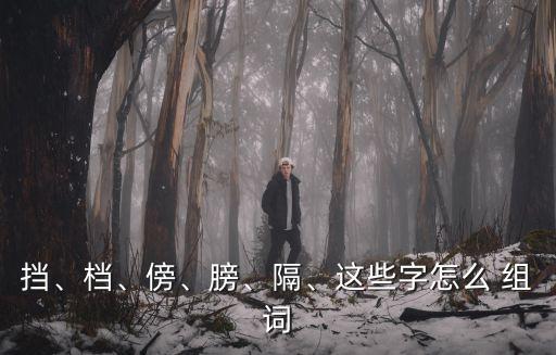 擋、檔、傍、膀、隔、這些字怎么 組詞