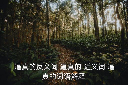  逼真的反義詞 逼真的 近義詞 逼真的詞語解釋