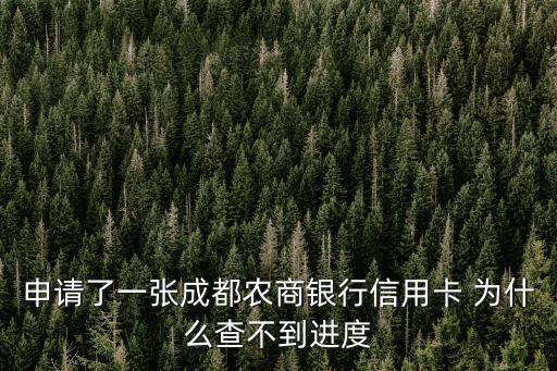 申請了一張成都農商銀行信用卡 為什么查不到進度
