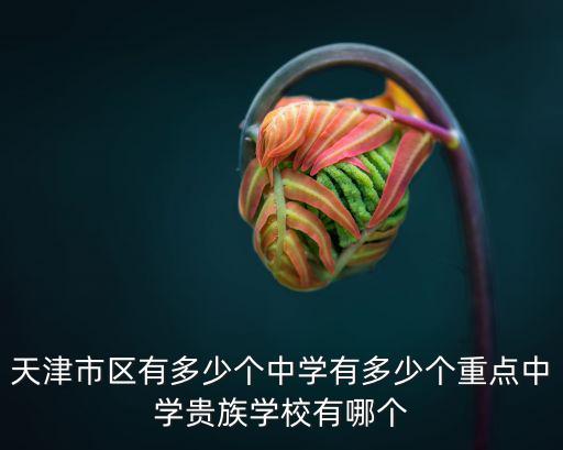 天津市區有多少個中學有多少個重點中學貴族學校有哪個