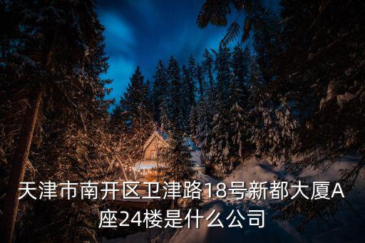 天津市南開區衛津路18號新都大廈A座24樓是什么公司