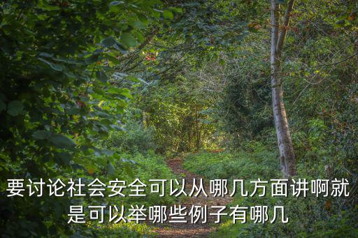 要討論社會(huì)安全可以從哪幾方面講啊就是可以舉哪些例子有哪幾