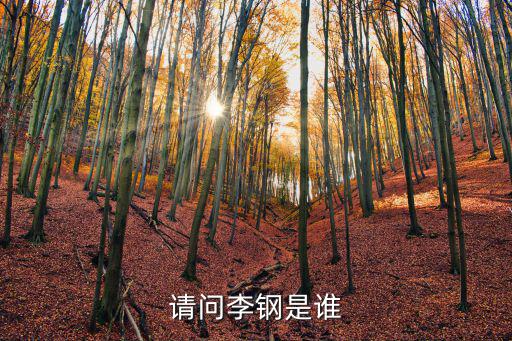 請問李鋼是誰