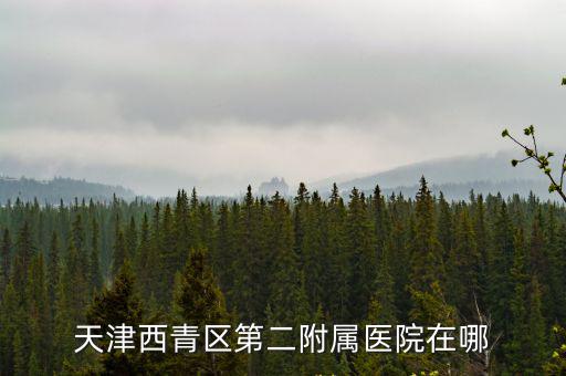 天津西青區(qū)第二附屬醫(yī)院在哪