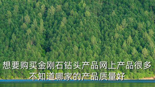 想要購買金剛石鉆頭產品網上產品很多不知道哪家的產品質量好