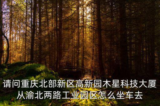 請問重慶北部新區高新園木星科技大廈從渝北兩路工業園區怎么坐車去