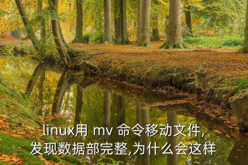 linux用 mv 命令移動文件,發現數據部完整,為什么會這樣