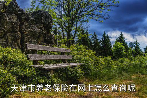 天津市年金查詢，天津市社會養老保險查詢網站