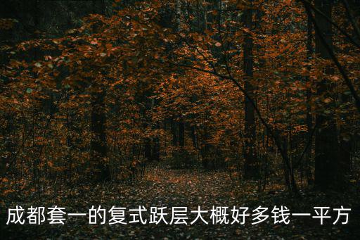 成都市中心高層復(fù)式頂樓，成都南邊的復(fù)式樓盤