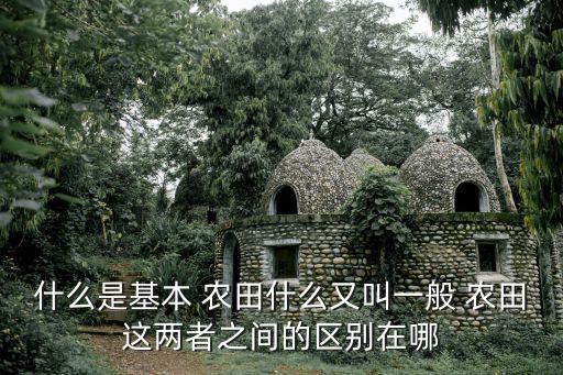 什么的農(nóng)田,基本農(nóng)田是否符合農(nóng)業(yè)保護(hù)條例